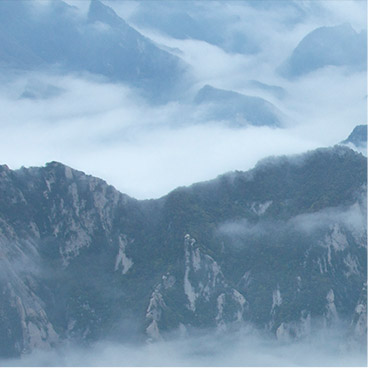 用心为您着想的免费ddos防火墙